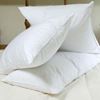 Picture of 450gsm Polycotton Pillow