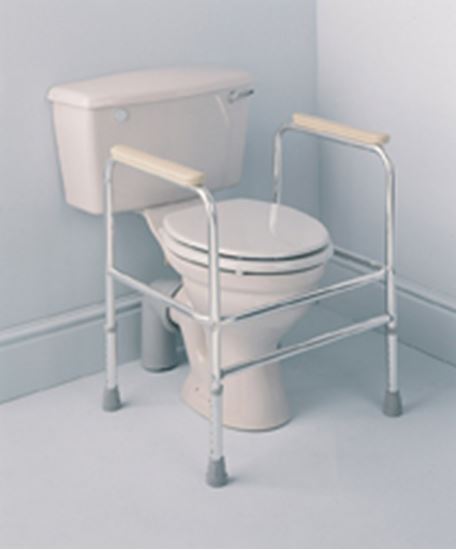 Picture of Toilet Frames