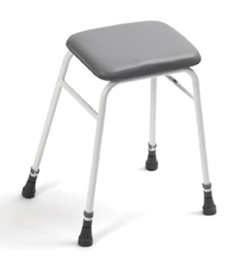 Picture of Basic Adjustable Height Perching Stool