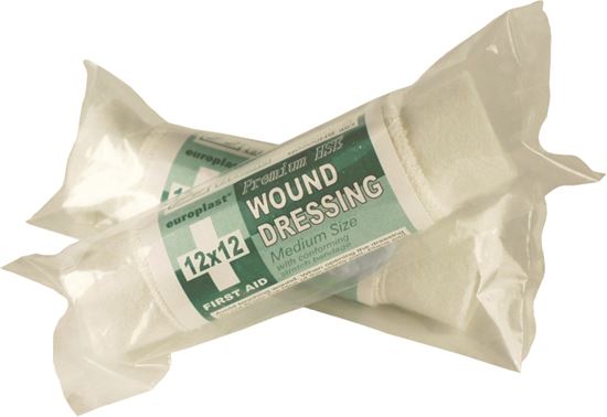 Picture of Wound Dressing 12x12cm (1)