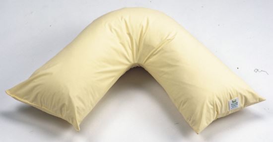 Picture of Large V-Shaped wipe clean Pillow