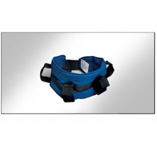 Picture of Maxi Handling Belt