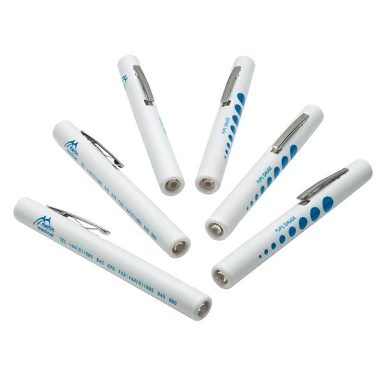Picture of Disposalight Pen Torches(6)
