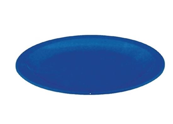 Picture of Polycarbonate Plate Blue 172mm (12)