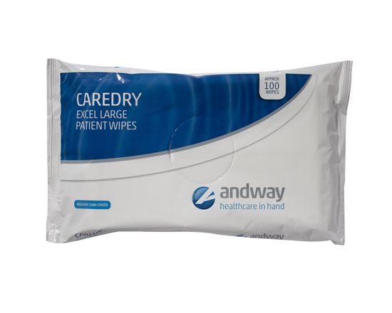Picture of Caredry Excel Large Wipe 24x100
