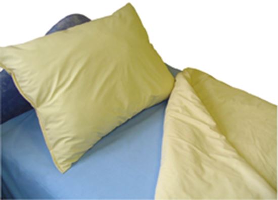 Picture of FR Wipe clean Pillow