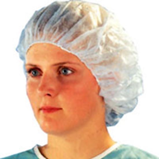 Picture of Hair Nets (100)