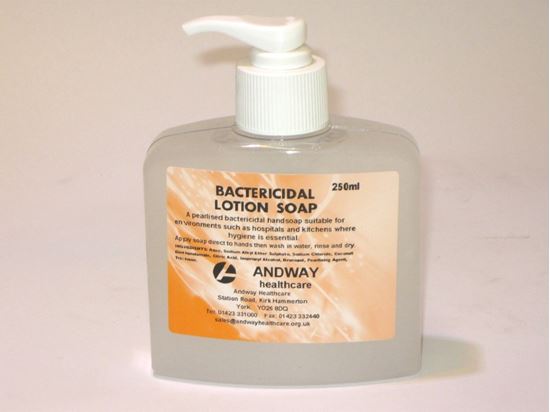Picture of Bac Lotion Soap Non Perfumed ( 250ml )