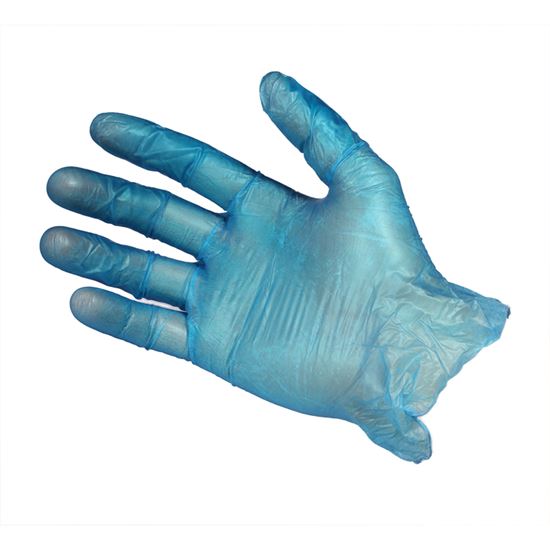 Picture of Vinyl Powder Free Gloves -Large (10x100)