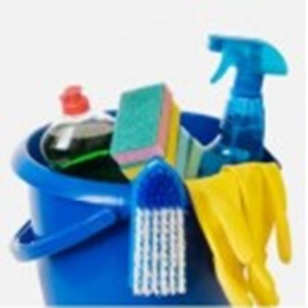 Picture for category Cleaning and Hygiene Products