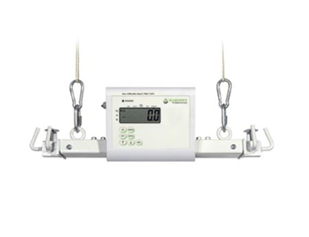 Picture for category Hoist Weigh Scale Attachment
