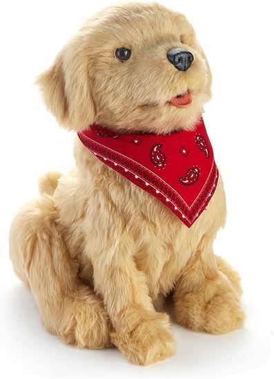 Picture of Companion Pet Golden Pup